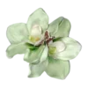 🌸 Эмодзи «Сумеру геншин импакт» для Telegram