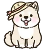 🐶 Эмодзи «🌞 Summer - летний вайб» для Telegram