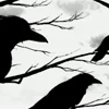 🤩 Эмодзи «𓏶𝐒𝜔𝑒𝑒𝑡 𝐒𝖏𝜘𝖏𝑠𝑡𝑒𝑟» для Telegram