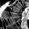 🤩 Эмодзи «𓏶𝐒𝜔𝑒𝑒𝑡 𝐒𝖏𝜘𝖏𝑠𝑡𝑒𝑟» для Telegram