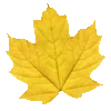 🍌 Эмодзи «Sweet Yellow» для Telegram
