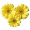 🍌 Эмодзи «Sweet Yellow» для Telegram
