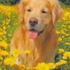 🍌 Эмодзи «Sweet Yellow» для Telegram