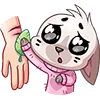 🥺 Эмодзи «Бисквит #animal #cat #emoji #vk» для Telegram