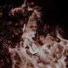 🌟 Эмодзи «𝑻𝑨𝑹𝑮𝑨𝑹𝒀𝑬𝑵𝑺» для Telegram