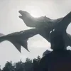 🌟 Эмодзи «𝑻𝑨𝑹𝑮𝑨𝑹𝒀𝑬𝑵𝑺» для Telegram