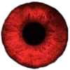 🩸 Эмодзи «𓏲 RꫀƊ ᥎Iδꫀˊ» для Telegram