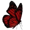 🩸 Эмодзи «𓏲 RꫀƊ ᥎Iδꫀˊ» для Telegram