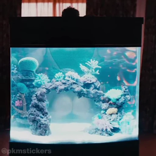 🍑 Стикер «The Deep» для Telegram