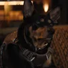 🐕 Эмодзи «The Fall Guy» для Telegram