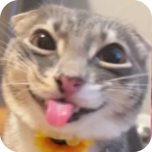 🥰 Стикер «Rigby» для Telegram