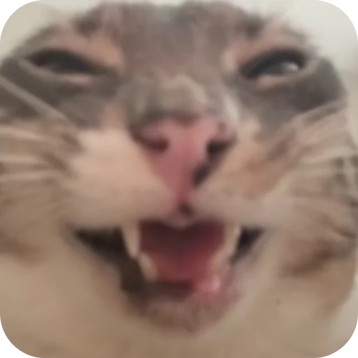 Стикерпак Rigby для Telegram — скачать