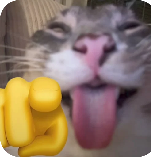 😹 Стикер «Rigby» для Telegram