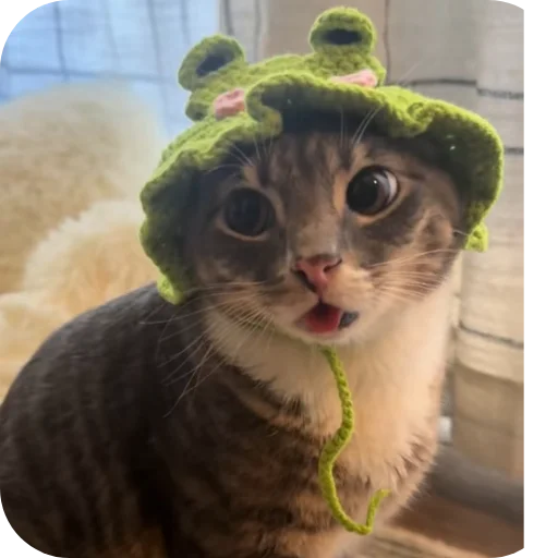 🐱 Стикер «Rigby» для Telegram