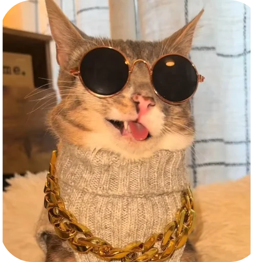 🐱 Стикер «Rigby» для Telegram