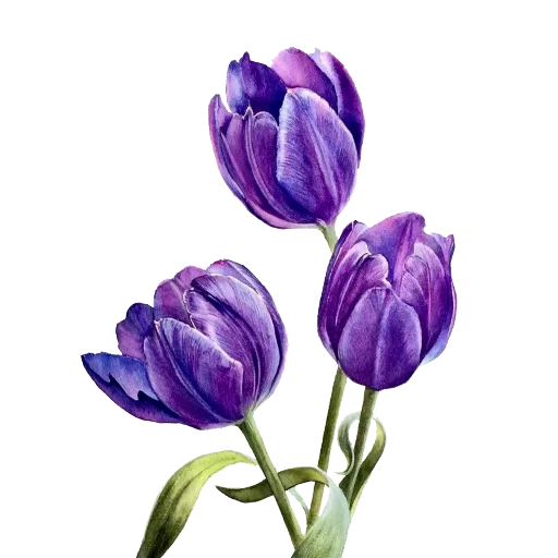 💝 Стикер «The Violet Flower» для Telegram