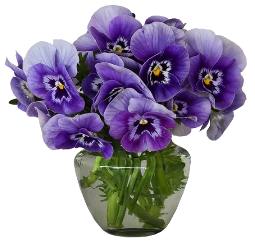Стикерпак The Violet Flower для Telegram — скачать