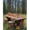 🤩 Эмодзи «Природа» для Telegram