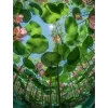 🤩 Эмодзи «Природа» для Telegram