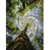 🤩 Эмодзи «Природа» для Telegram
