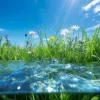 🤩 Эмодзи «Природа» для Telegram