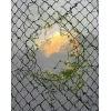 🤩 Эмодзи «Природа» для Telegram
