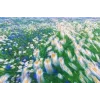 🤩 Эмодзи «Природа» для Telegram
