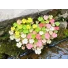 🤩 Эмодзи «Природа» для Telegram