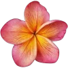 🤩 Эмодзи «Thematic15» для Telegram