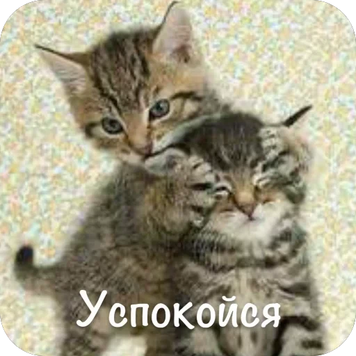 🫥 Стикер «This is my» для Telegram