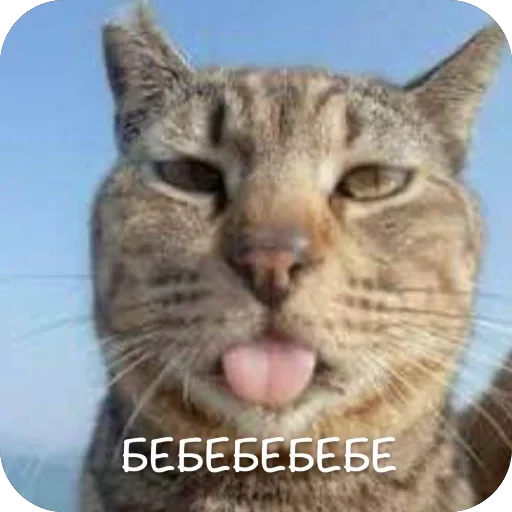 🫥 Стикер «This is my» для Telegram