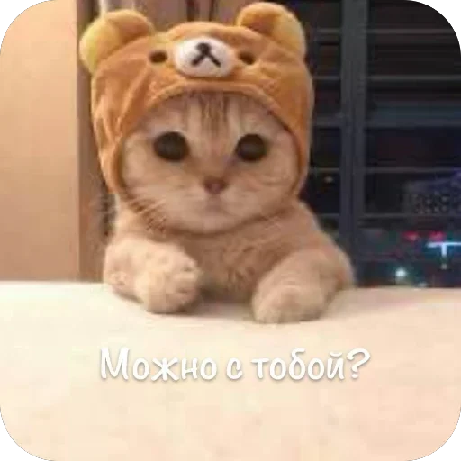 🫥 Стикер «This is my» для Telegram