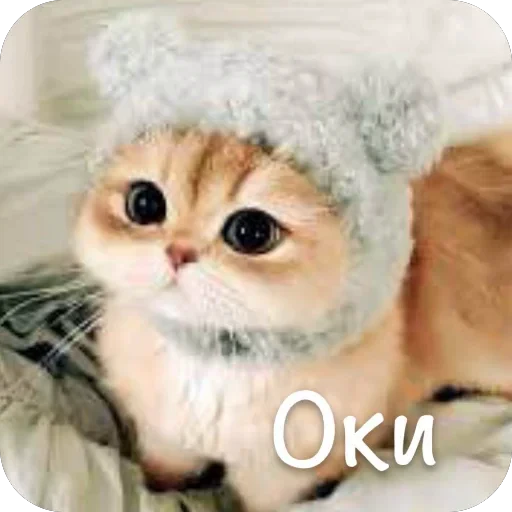 🫥 Стикер «This is my» для Telegram