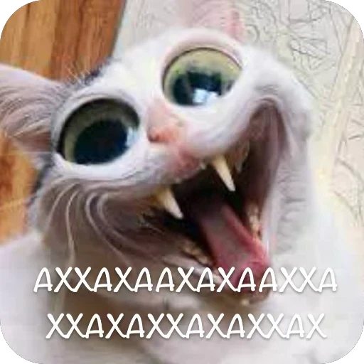 🫥 Стикер «This is my» для Telegram