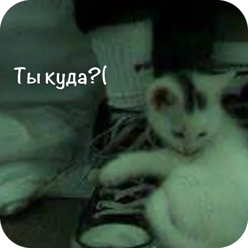 🫥 Стикер «This is my» для Telegram