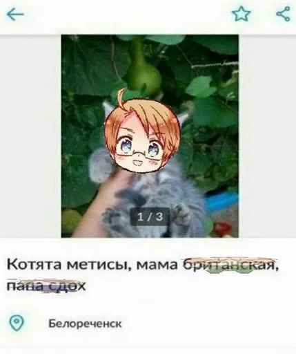 📸 Стикер «наркоталия» для Telegram