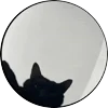 🤩 Эмодзи «Tiktok Memes» для Telegram