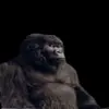 🦍 Эмодзи «Tiktok Memes» для Telegram