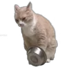 🥣 Эмодзи «Tiktok Memes» для Telegram