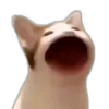 🐱 Эмодзи «Tiktok Memes» для Telegram