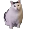 😾 Эмодзи «Tiktok Memes» для Telegram