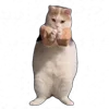 💃 Эмодзи «Tiktok Memes» для Telegram