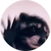 🕺 Эмодзи «Tiktok Memes» для Telegram