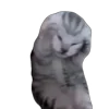 🙀 Эмодзи «Tiktok Memes» для Telegram