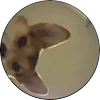 🤩 Эмодзи «Tiktok Memes» для Telegram
