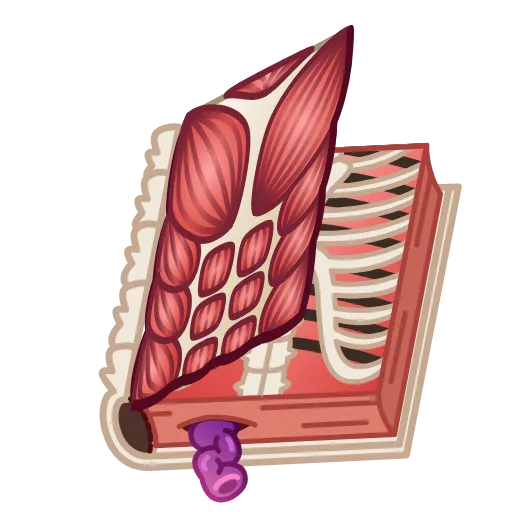 📕 Эмодзи «Timeless Book - пак с книгами из новых нфт подарков для тг» для Telegram
