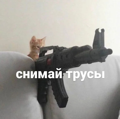 🐱 Стикер «kolelas cats» для Telegram