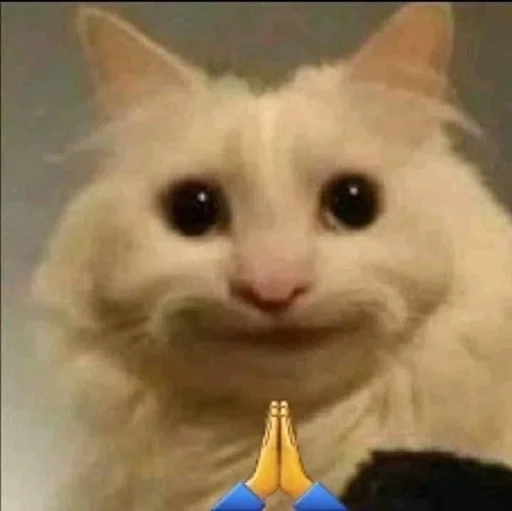 🐱 Стикер «kolelas cats» для Telegram