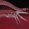 🫴 Эмодзи «DARK RED» для Telegram
