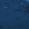 🥰 Эмодзи «Tonari no Totoro» для Telegram